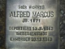 Stolperstein für Alfred Marcus
