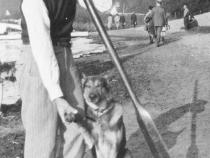 Harry Petzal mit seinem Schäferhund am Wannsee, Foto: Monica Petzal