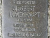 Stolperstein für Siegbert Löwenhaupt.