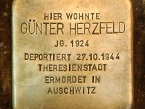 Stolperstein für Günter Herzfeld