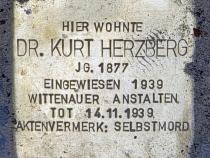 Stolperstein für Dr. Kurt Herzberg;Foto: OTFW