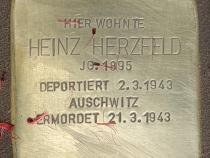 Stolperstein für Heinz Herzfeld © OTFW