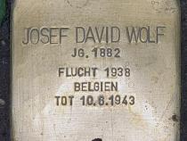 Stolperstein Josef David Wolf, Foto: OTFW