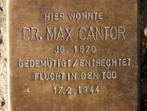 Stolperstein für Max Cantor.