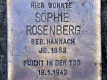 Stolperstein für Sophie Rosenberg.