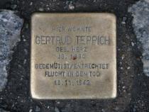 Stolpersteine für Gertrud Teppich
